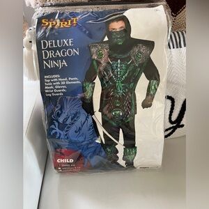 Dragon Ninja costume